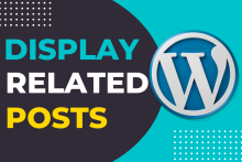Display Category-Based Posts Using Kadence Block in WordPress