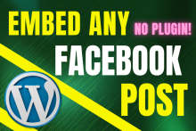 How to embed Facebook post in WordPress without plugins